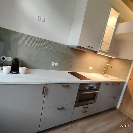 Appartamento Alphonse Mucha Loft Apartments, 2 *